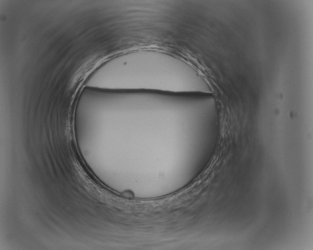 X0000071780002200606300928