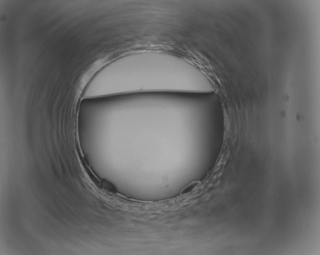 X0000071780003200606300928