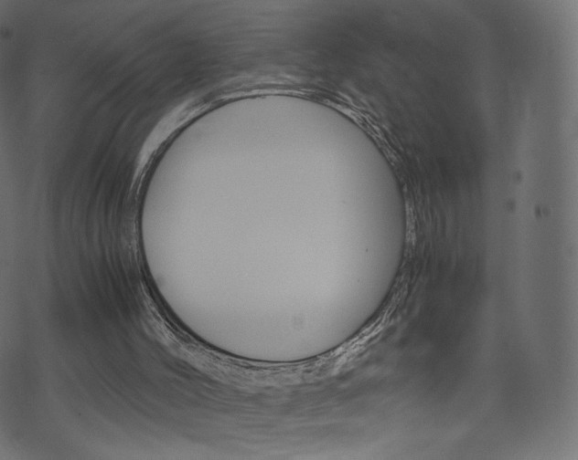 X0000071780004200606300928