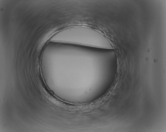 X0000071780005200606300928