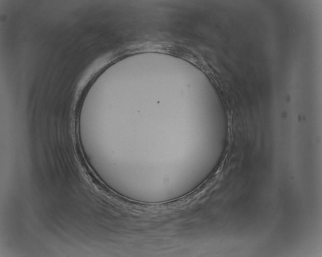 X0000071780006200606300928