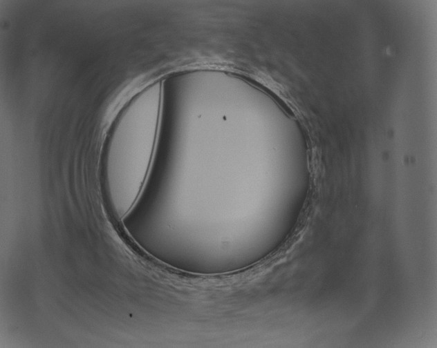 X0000071780007200606300928