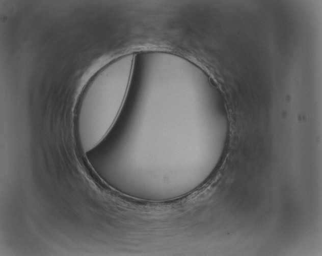 X0000071780008200606300928