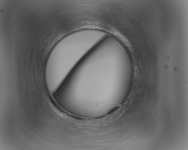 X0000071780009200606300928