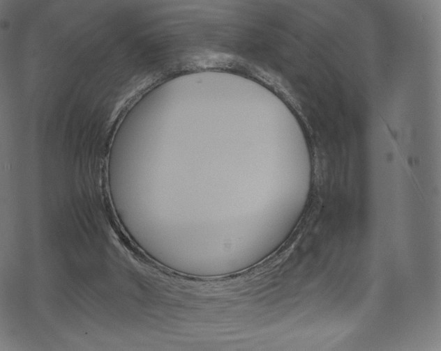 X0000071780010200606300928