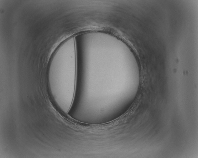 X0000071780011200606300928