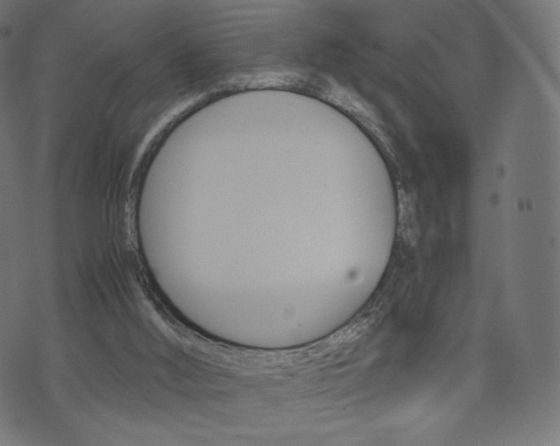 X0000071780012200606300928