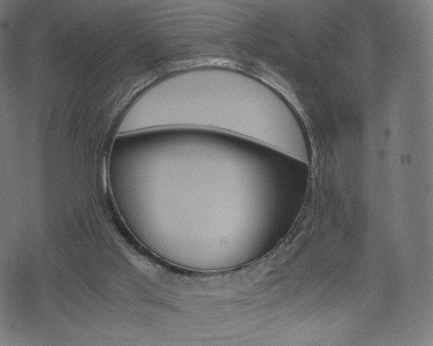 X0000071780013200606300928