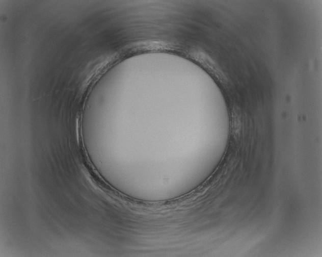 X0000071780014200606300928