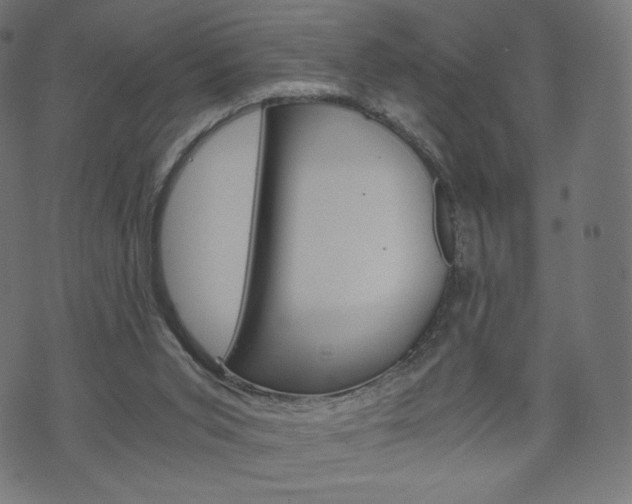 X0000071780015200606300928