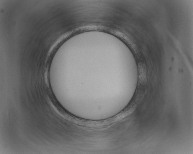 X0000071780016200606300928