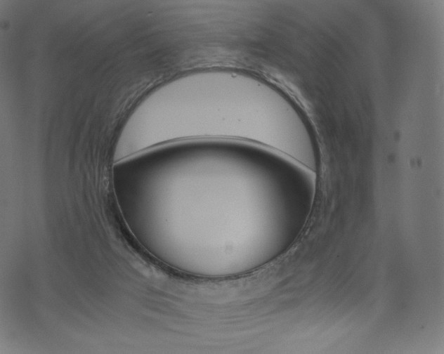 X0000071780017200606300928