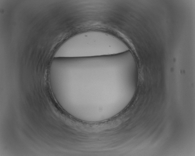 X0000071780018200606300928