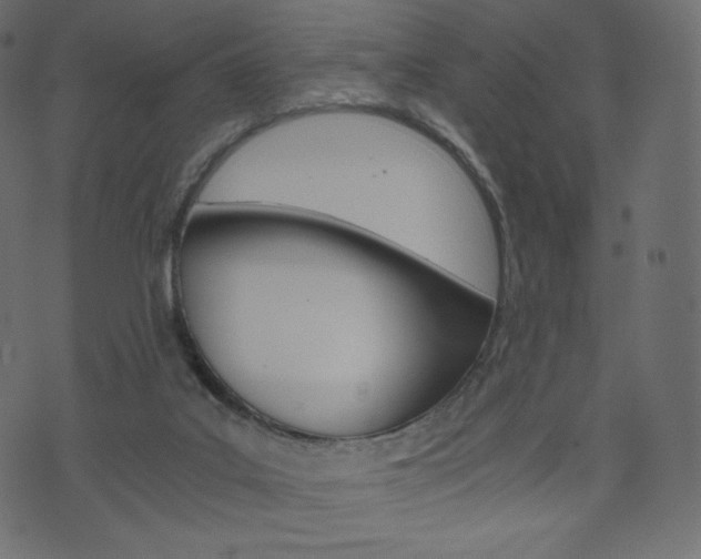 X0000071780019200606300928