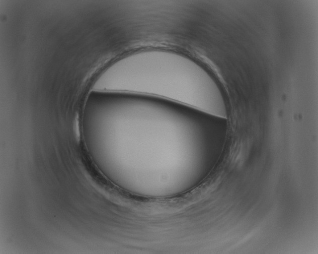 X0000071780020200606300928