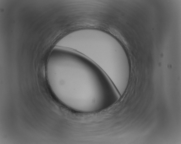 X0000071780021200606300928