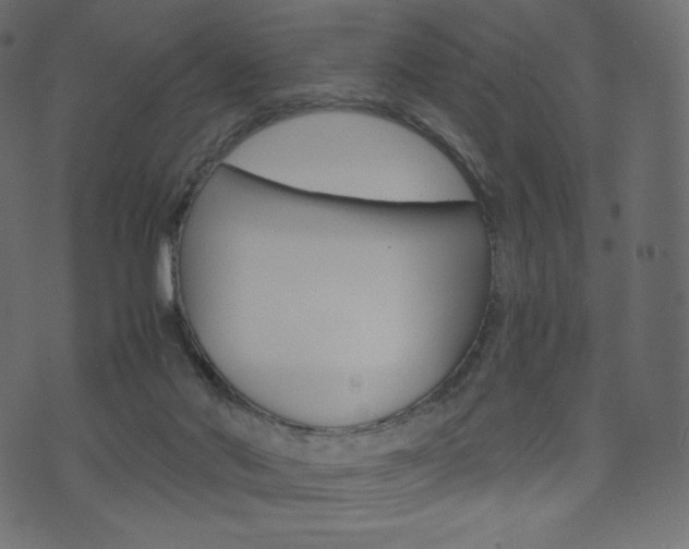 X0000071780022200606300928