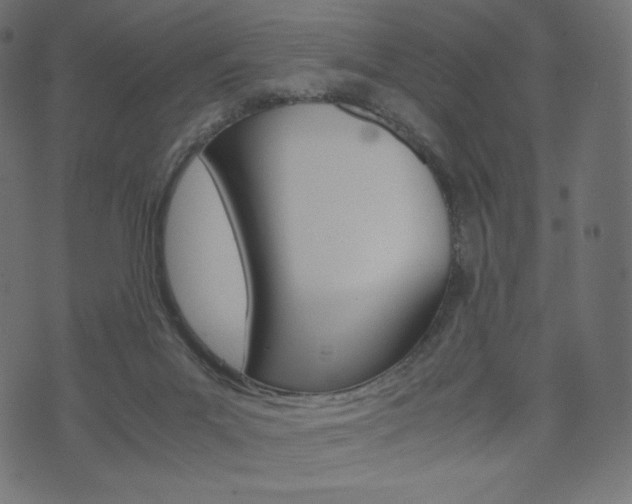 X0000071780023200606300928