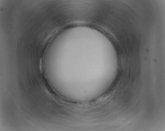 X0000071780024200606300928