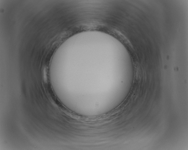 X0000071780026200606300928