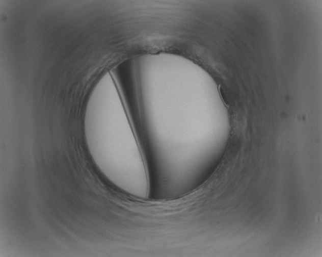 X0000071780027200606300928