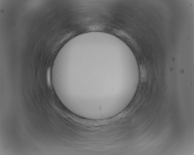 X0000071780028200606300928