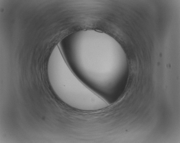 X0000071780029200606300928