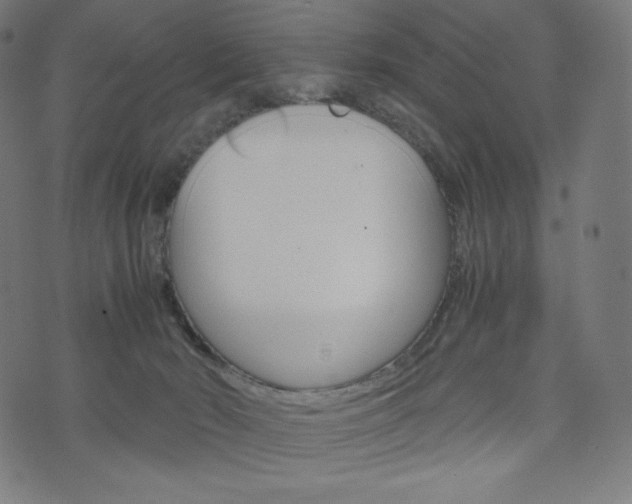 X0000071780030200606300928