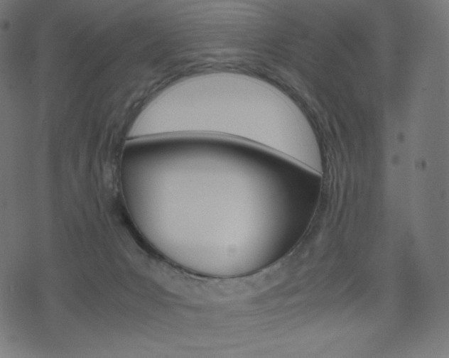 X0000071780031200606300928