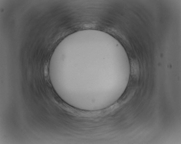 X0000071780032200606300928