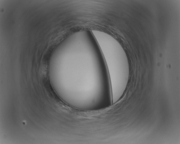 X0000071780033200606300928