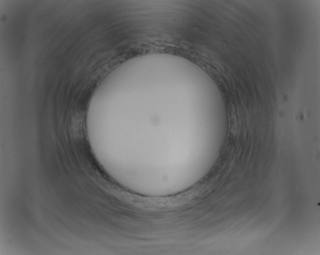 X0000071780034200606300928