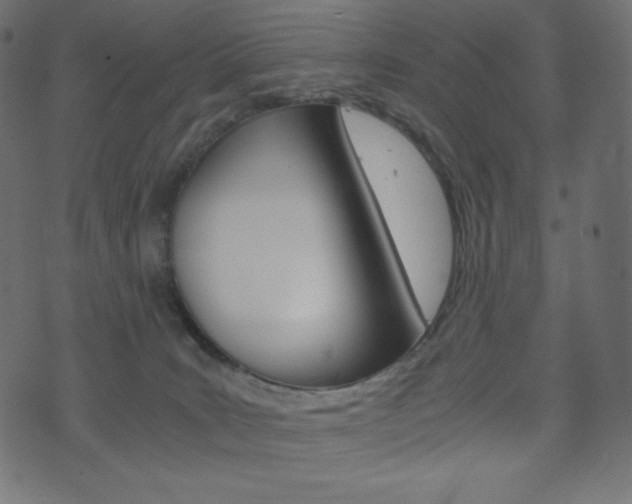 X0000071780035200606300928