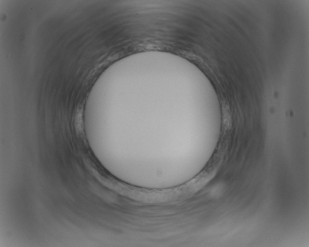 X0000071780036200606300928