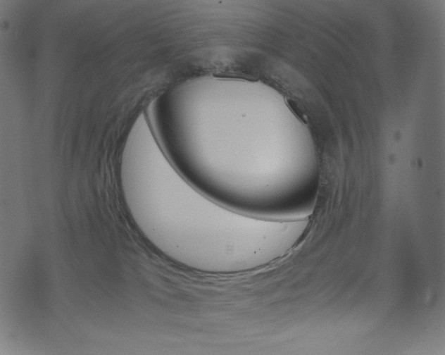 X0000071780037200606300928