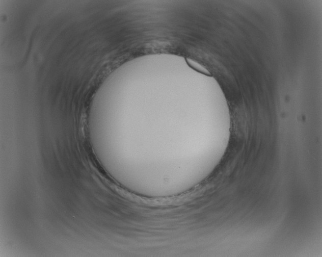 X0000071780038200606300928