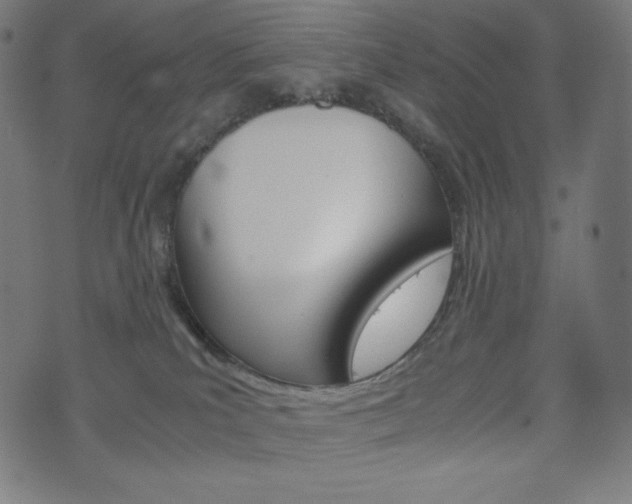 X0000071780039200606300928