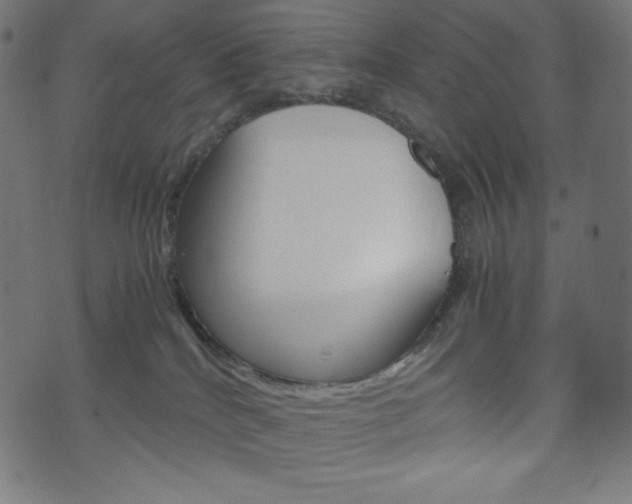 X0000071780040200606300928