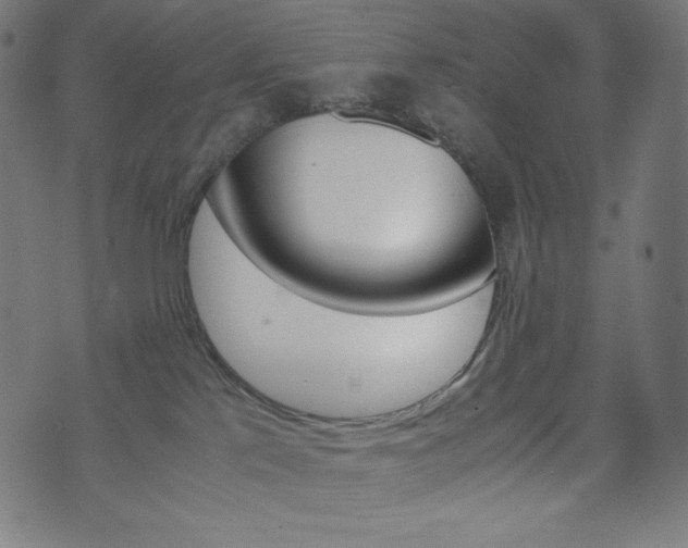 X0000071780041200606300928