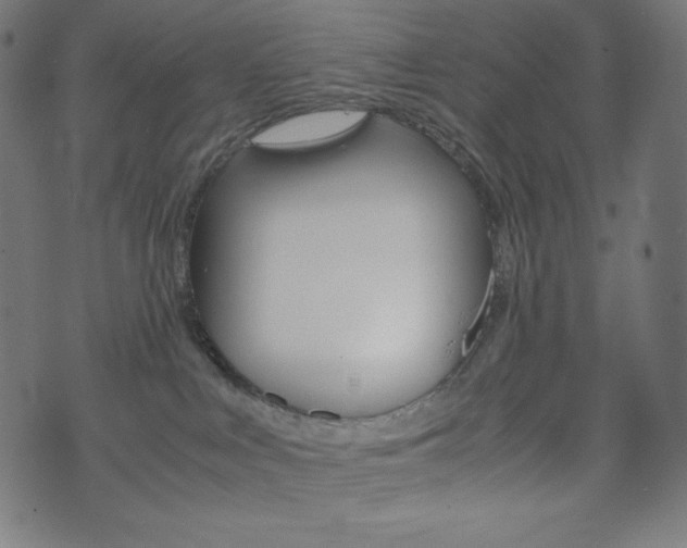 X0000071780043200606300928