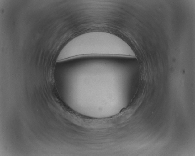 X0000071780044200606300928