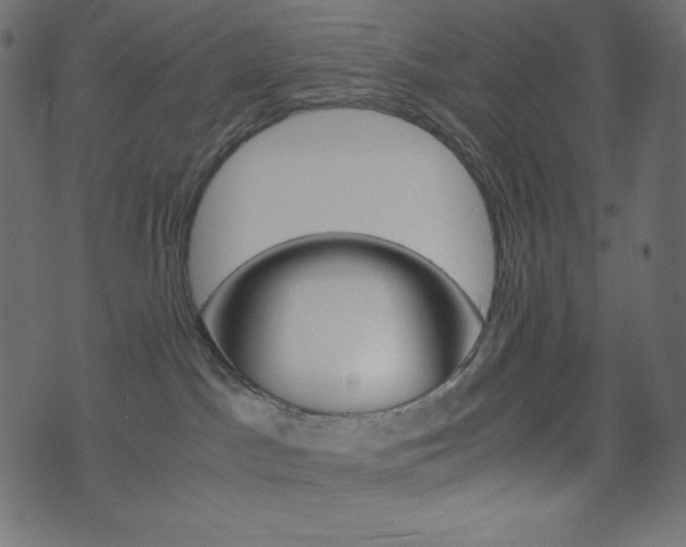 X0000071780045200606300928