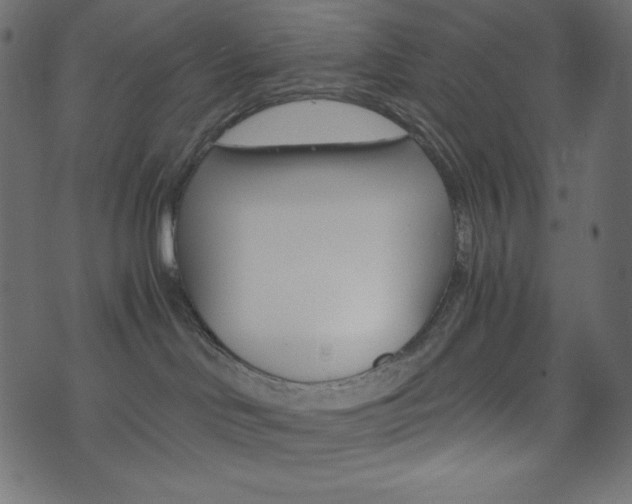 X0000071780046200606300928