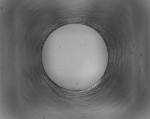 X0000071780047200606300928