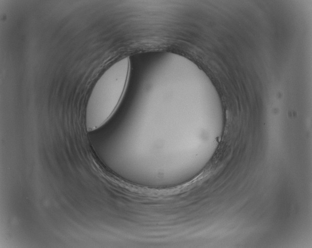 X0000071780048200606300928