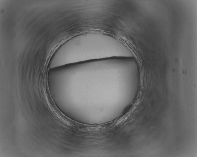 X0000071780049200606300927