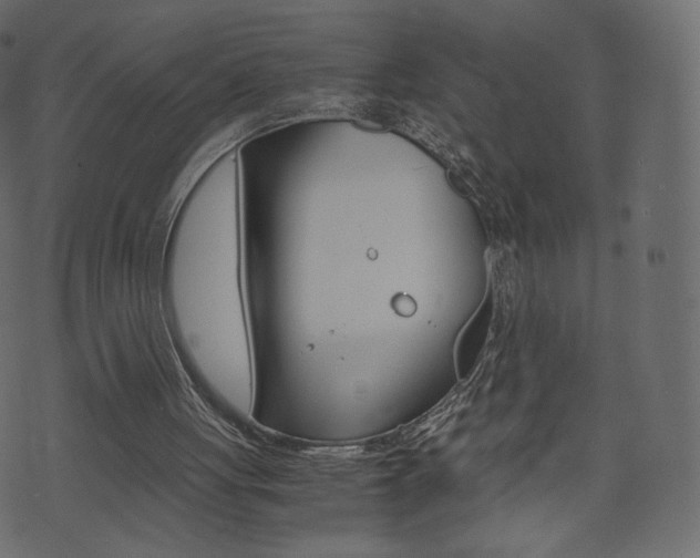 X0000071780051200606300927