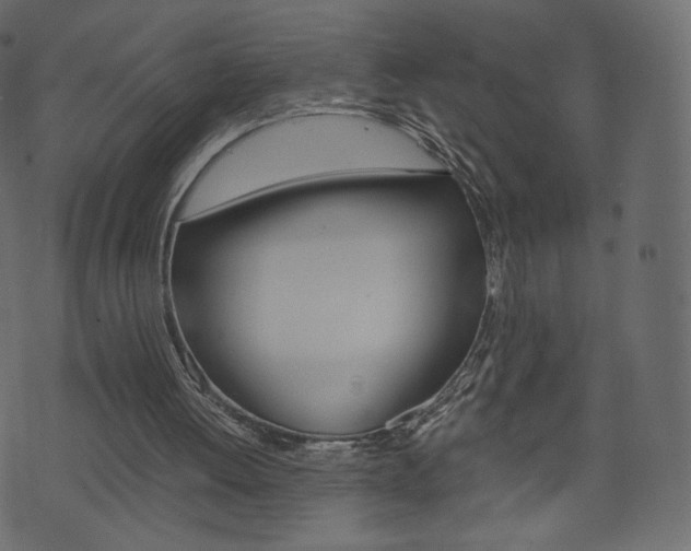 X0000071780052200606300927