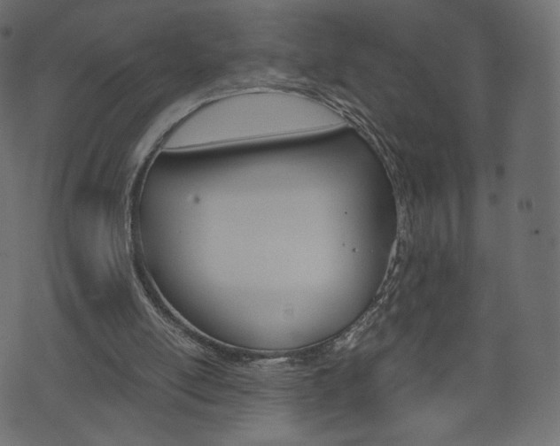 X0000071780054200606300927