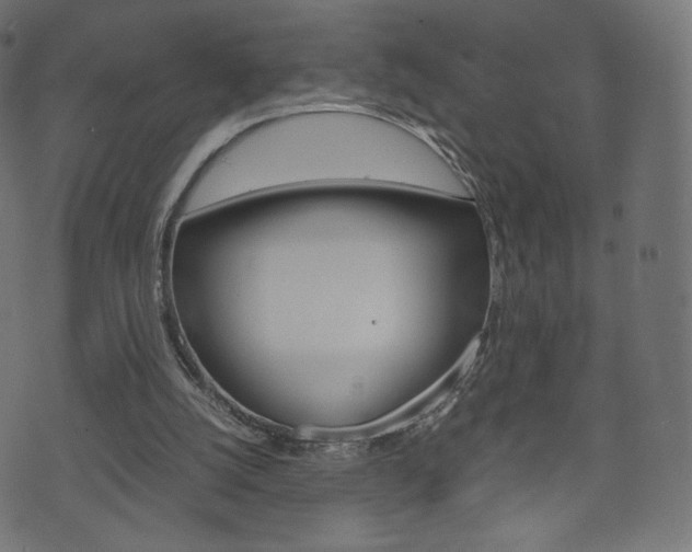 X0000071780056200606300927